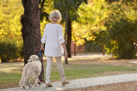 Where to Live in Retirement | Tips for Single Women | ProVise