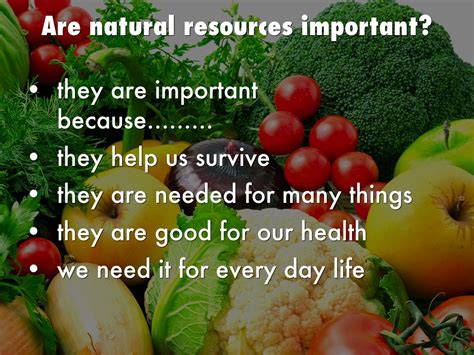 What Are Natural Resources By Angel Destiny