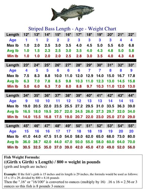 Striped Bass Weight Calculator Mywaterearthandsky