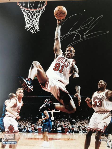 Chicago Bulls Nba Basketbal Dennis Rodman Poster Catawiki