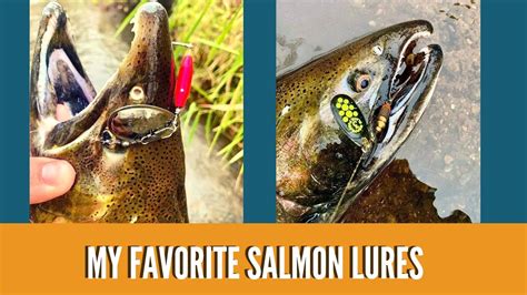 My Favorite Salmon Lures Best Lures For Salmon River Fishing How To