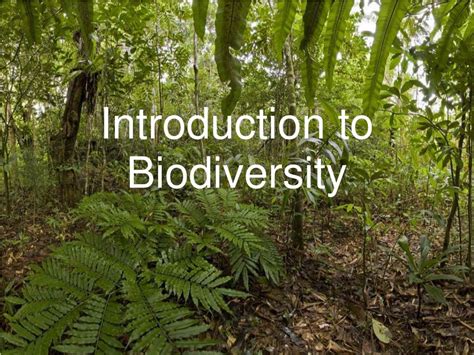 Ppt Introduction To Biodiversity Powerpoint Presentation Free