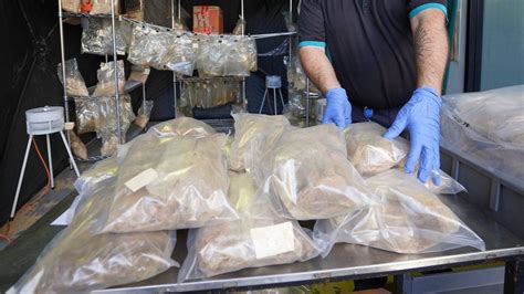 australia police find 400kg of drugs in hot sauce bottles bbc news