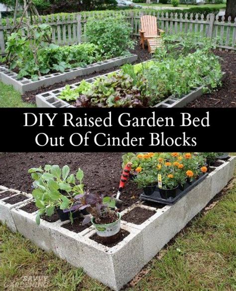 Make A Raised Garden Bed Out Of Cinder Blocks Homestead And Survival