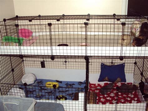 Two X Stacked Cages Guinea Pig Cages
