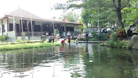 Tiket masuk umbul madiun 2021 / tiket masuk tlatar boyolali 2020 : Tiket Masuk Tlatar Boyolali 2020 / Wisata Tlatar Boyolali ...