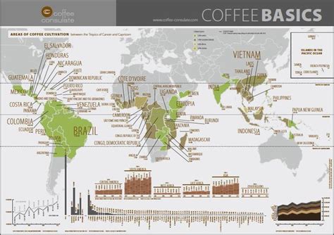 Educationalmaterials Worldmap Coffee Infographic Coffee Roasters