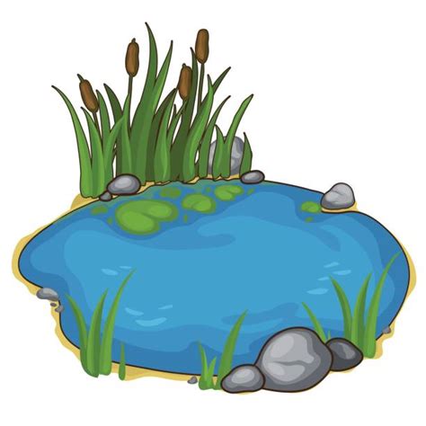 Pond Images Clipart 10 Free Cliparts Download Images On Clipground 2024