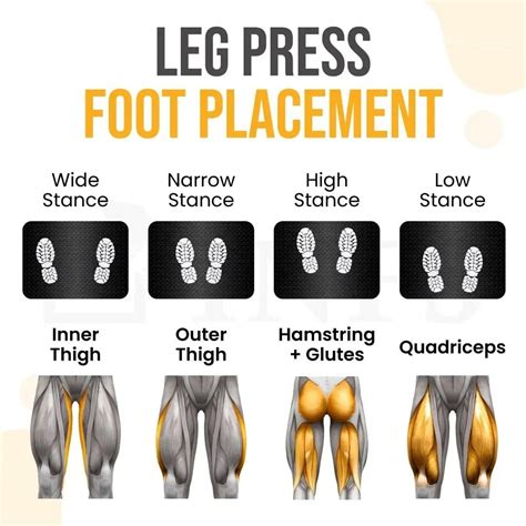 Leg Press Foot Placements 5 Stances Explained Leg Press Workout Leg