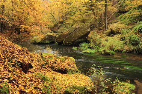 Autumn Colors River Stock Image Image Of Landscape 120051621