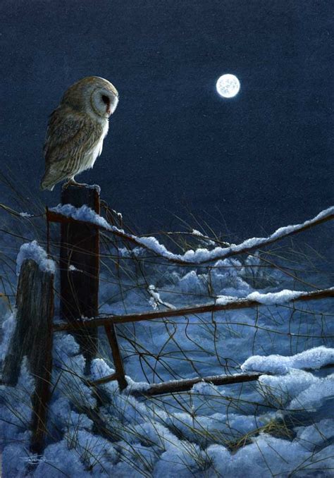 Galleries Jeremy Paul Owl Painting Owl Wildlife Art