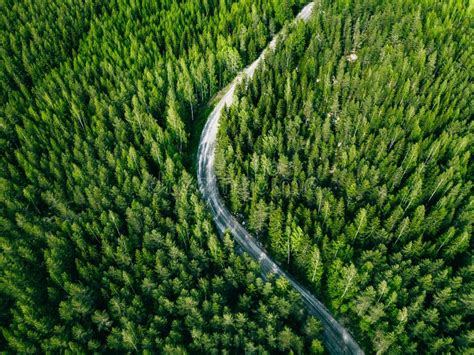 Aerial View Of Green Forest Road Curved Road From Above Stock Image