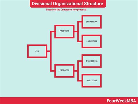 Estructura Organizativa Divisional Fourweekmba Emprendimiento Virtual