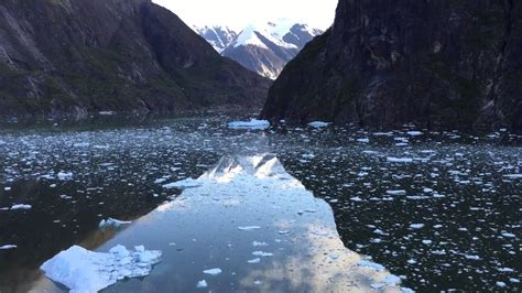 Tracy Arm Fjord Alaska Inside Passage Celebrity Solstice Cruise May