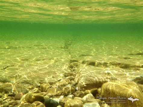 An Underwater View Of Lake Michigan The Big Lakes Are Looking Inviting