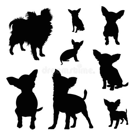 Chihuahua Pies Ilustracji Ilustracja Z O Onej Z Figlarnie