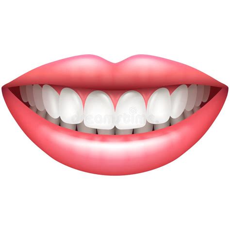 Illustration Of White Teeth And Healthy Smile Stock Vector