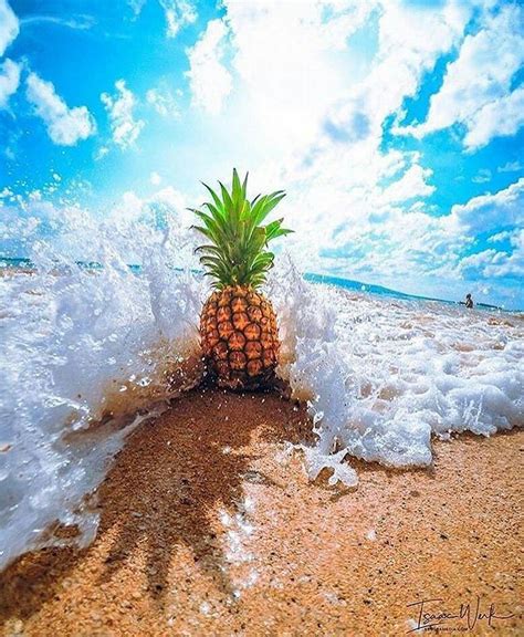 Splash Wallpaper Iphone Summer Summer Wallpaper Pineapple Pictures