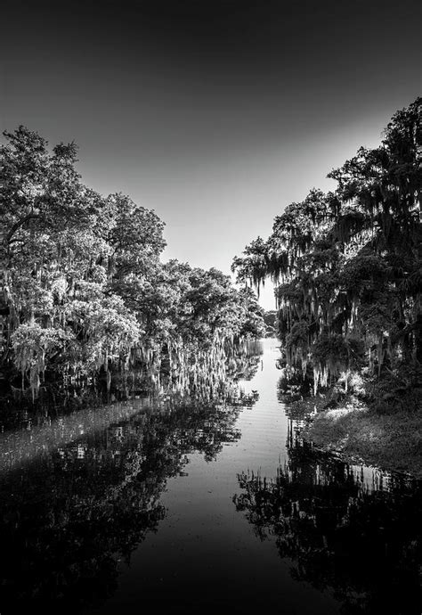 Frog Creek Photograph By Marvin Spates Fine Art America