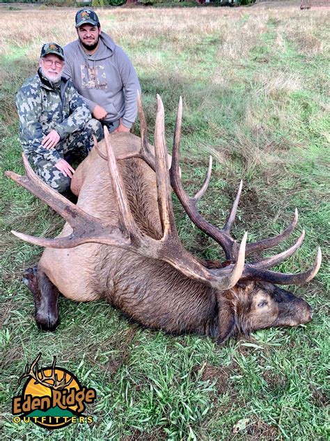 5 Day Roosevelt Elk Hunt For 1 Hunter In Oregon Wsf World Headquarters