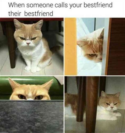 50 Friendship Day Memes To Share With Your Besties On
