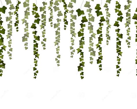 Vector Horizontal Seamless Garland With Green Ivy Leaves On A White