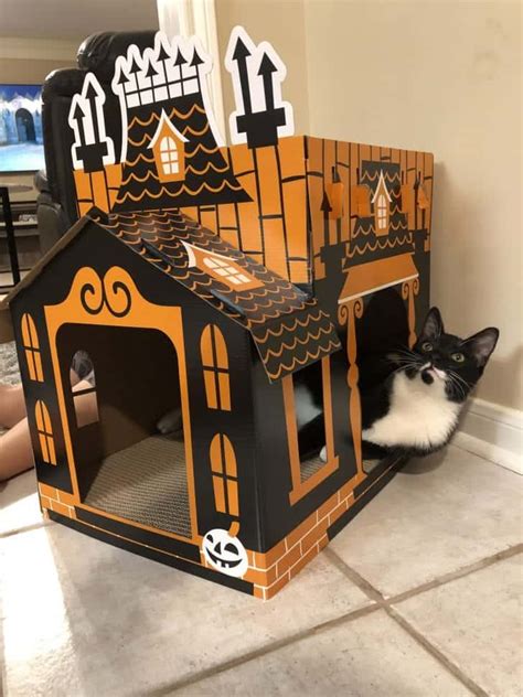 Target Is Selling Cardboard Haunted Mansions For Cats Cole And Marmalade
