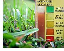 Grow together plants with like ph needs, similar temperature tolerances, and nutritional needs. 05 Soil Testing for pH
