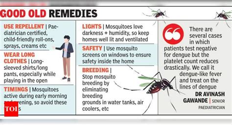 Its Dengue And More Keep Kids Safe From Mosquito Bites Docs Nagpur