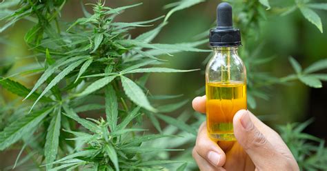 Cbd oil is believed by some to treat pain, reduce anxiety, and stimulate appetite in the. CBD for Diabetes: Prevention, Treatment, How to Use