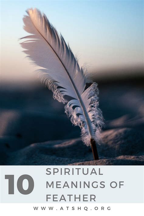 Feather Symbolism 10 Spiritual Meanings Of Feather 2023