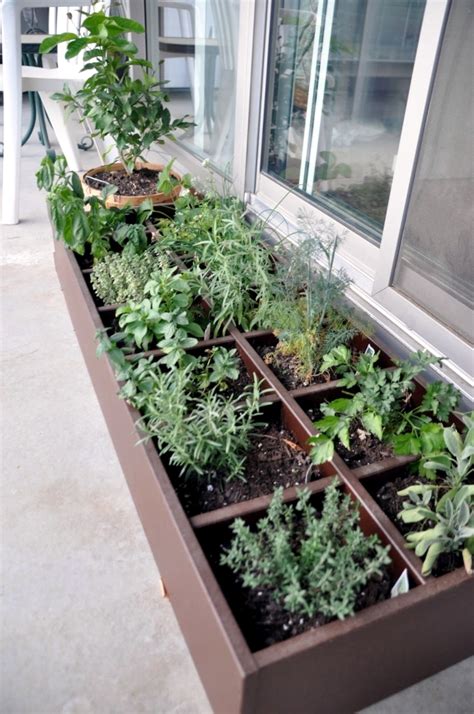 How To Grow An Herb Garden On A Patio Garden Likes