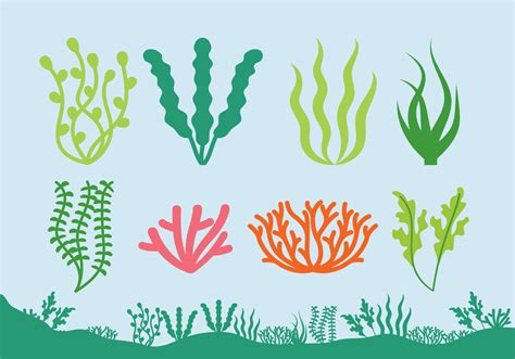 Sea Plants Vector Art Icons And Graphics For Free Download