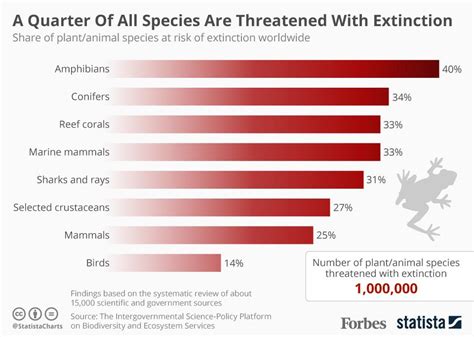 A Quarter Of All Species Are Threatened With Extinction Due To Human