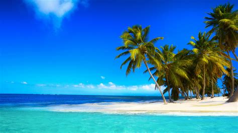 1920x1080 Seascape Summer Palms Beach Vacation Coolwallpapers Me