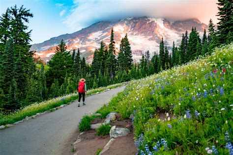 10 Best Wildflower Hikes At Mt Rainier National Park