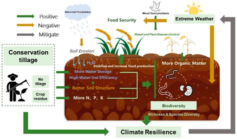 Conservation Tillage And Climate Resilience Encyclopedia Mdpi
