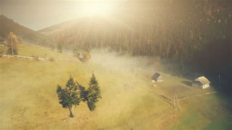 Bright Sunny Mountain Meadow Landscape Aerial View Stock Image Image