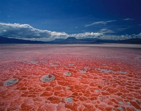 Lake Natron Tanzania Places To Travel To In Africa Popsugar Smart