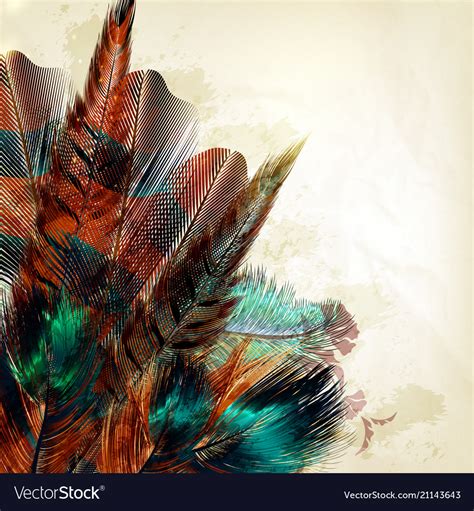 Background With Colorful Feathers Royalty Free Vector Image