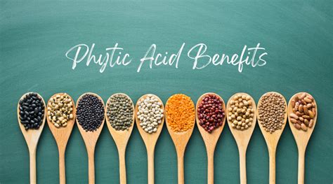 Phytic Acid In Bread Grains And Beans Be Worried Or No Fear