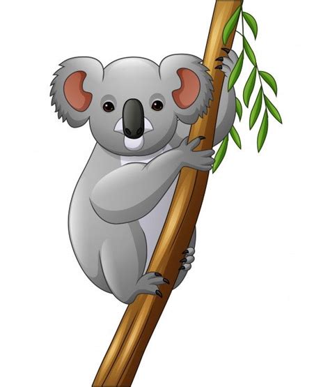 Premium Vector Illustration Of Koala On A Tree Branch Koala Drawing