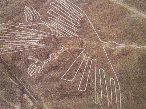 Grocery shoppers growing hungry for details (wlwt cincinnati) Amazing Facts: The mysterious Nasca Lines