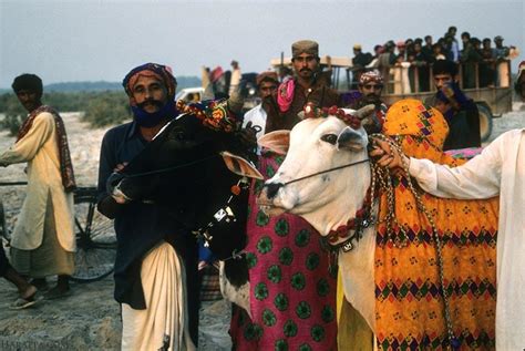 People were just lying, unburied. Mohenjo-daro, Sindh farmers | Harappa