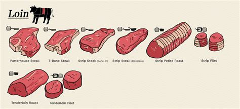 Beef Cuts Loin Rib Sirloin Guide To Different Cuts Of Beef