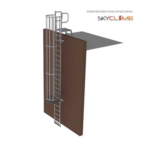 Mls109 Skyclimb Vertical Cage Parapet Access Ladder With Vertical