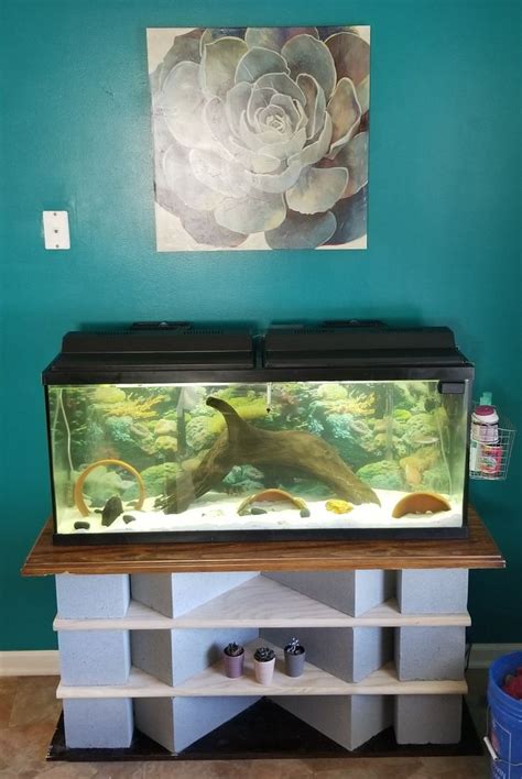 Diy Fish Tank Stand 55 Gallon Cinder Blocks And Wood Cost Me 65