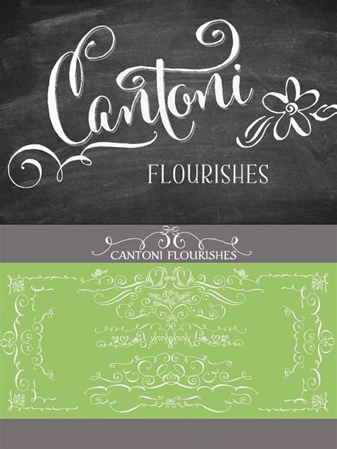 Cantoni Font Flourishes Whimsical Fonts Lettering Fonts Cool Fonts