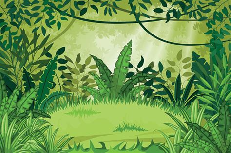 Illustration Jungle Landscape Stock Illustration Download Image Now