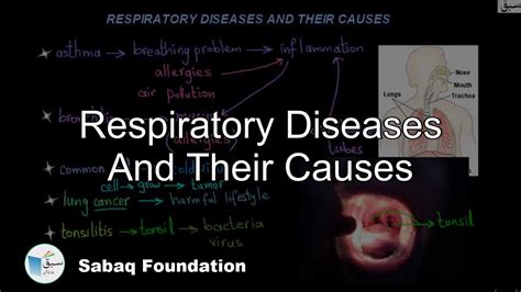 Diseases That Affect Respiratory System